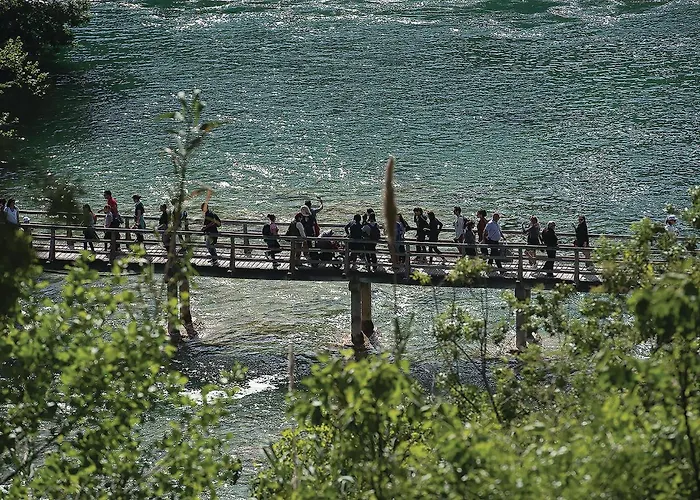 2 Bedroom Cozy In * Zaboric